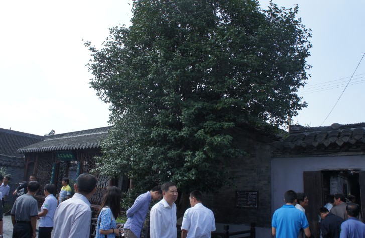 兆勝建材舉辦全廠工人十一溱潼一日游 贏勝文化