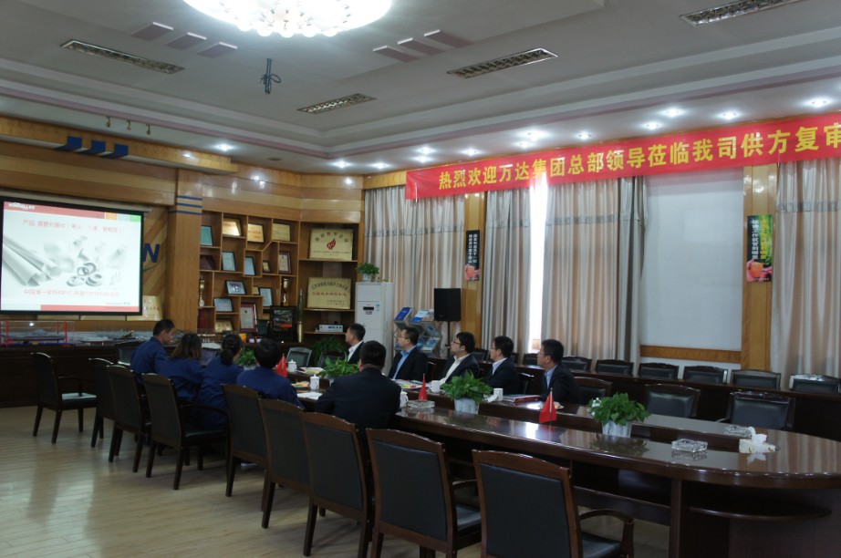 萬(wàn)達(dá)集團(tuán)總部領(lǐng)導(dǎo)蒞臨贏勝江蘇節(jié)能有限公司供方復(fù)審