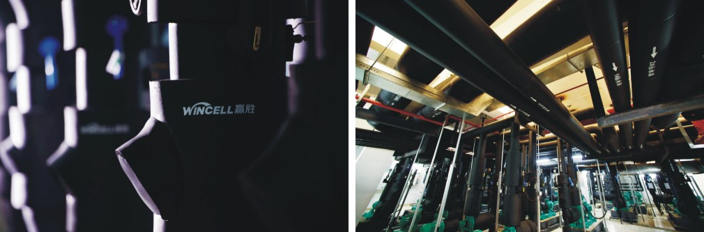 Wincell贏勝品牌TVC正式開拍 Wincell贏勝品牌TVC正式開拍