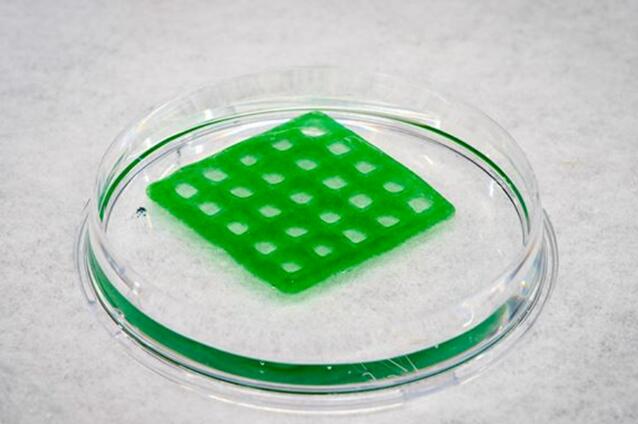 QQ截圖20230922090443.jpg QQ截圖20230922090443.jpg