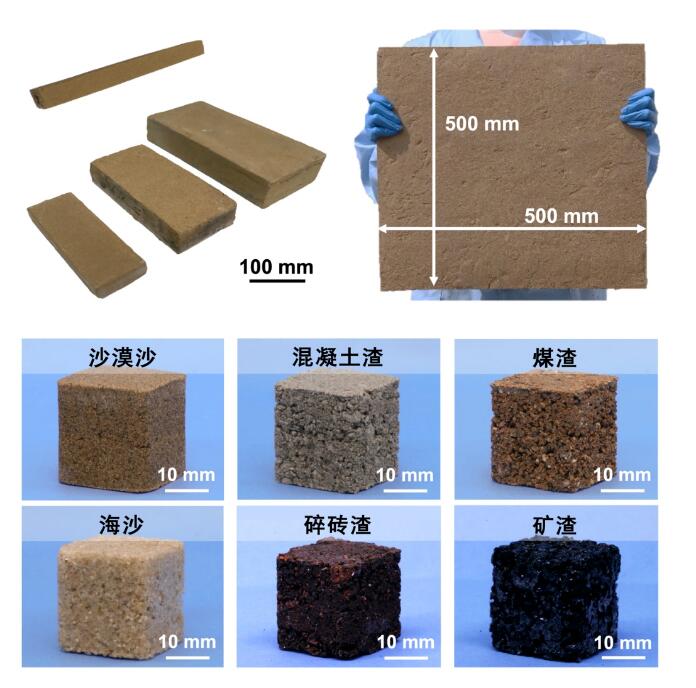 QQ截圖20231012110619.jpg QQ截圖20231012110619.jpg